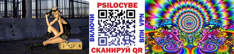 Купить  Салехард  Псилоцибиновые грибы прущие грибы 